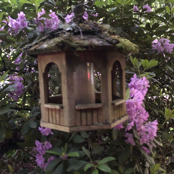 Meet your Posher, Eva - Picture 1 of 1